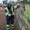 Picture of Tough Duck - Safety Rain Bib Overall