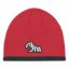 Picture of AJM - 1J034M - Acrylic / Polyester Micro Fleece Toque