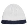 Picture of AJM - 1L094M - Acrylic / Polyester Micro Fleece Toque