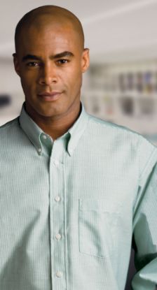Picture of Forsyth - C113 - Men's Long Sleeve Classic Striped Oxford Shirt
