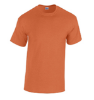 Picture of Gildan - G500 - Adult Heavy Cotton T-Shirt