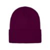 Picture of H08000 - Polar - Knit Cuff Toque