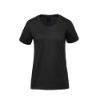 Picture of Muskoka Trail - Harmony - Ladies Organic Cotton T-Shirt