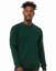 Picture of 3901 - Unisex Sponge Fleece Raglan Crewneck Sweatshirt