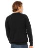 Picture of 3901 - Unisex Sponge Fleece Raglan Crewneck Sweatshirt