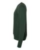 Picture of 3901 - Unisex Sponge Fleece Raglan Crewneck Sweatshirt