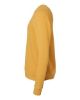 Picture of 3901 - Unisex Sponge Fleece Raglan Crewneck Sweatshirt