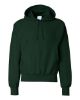 Picture of S101 - Unisex Reverse Weave® Hooded Sweatshirt