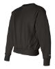 Picture of S149 - Unisex Reverse Weave® Crewneck Sweatshirt