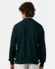 Picture of S149 - Unisex Reverse Weave® Crewneck Sweatshirt