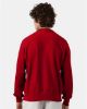Picture of S149 - Unisex Reverse Weave® Crewneck Sweatshirt