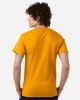 Picture of T425 - Unisex Classic T-Shirt