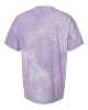 Picture of 1745 - Unisex Colorblast™ Heavyweight T-Shirt