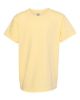 Picture of 9018 - Youth Garment-Dyed Heavyweight T-Shirt