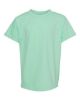 Picture of 9018 - Youth Garment-Dyed Heavyweight T-Shirt
