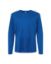Picture of CE10LY - Youth Capital Performance Long Sleeve T-Shirt