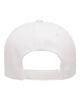 Picture of 110C - 110® Pro-Formance® Cap