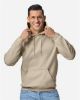 Picture of 18500 - Unisex Heavy Blend™ Hooded Sweatshirt