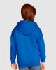 Picture of 18600B - Youth Heavy Blend™ Full-Zip Hooded Sweatshirt