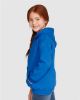 Picture of 18600B - Youth Heavy Blend™ Full-Zip Hooded Sweatshirt