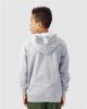 Picture of 18600B - Youth Heavy Blend™ Full-Zip Hooded Sweatshirt