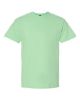 Picture of 2000 - Unisex Ultra Cotton® T-Shirt