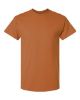 Picture of 2000 - Unisex Ultra Cotton® T-Shirt