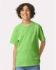Picture of 2000B - Youth Ultra Cotton® T-Shirt