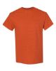 Picture of 5000 - Unisex Heavy Cotton™ T-Shirt