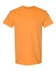 Picture of 5000 - Unisex Heavy Cotton™ T-Shirt