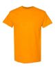 Picture of 5000 - Unisex Heavy Cotton™ T-Shirt