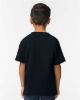 Picture of 65000B - Youth Softstyle® Midweight T-Shirt