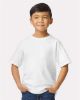 Picture of 65000B - Youth Softstyle® Midweight T-Shirt