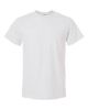 Picture of 8000 - Unisex DryBlend® T-Shirt