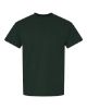 Picture of 8000 - Unisex DryBlend® T-Shirt