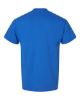 Picture of 8000 - Unisex DryBlend® T-Shirt