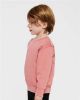 Picture of 3317 - Toddler Fleece Crewneck Sweatshirt