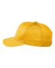 Picture of TT801Y - Youth Zone Performance Cap by Yupoong®