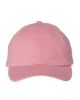 Picture of VC300Y - Youth Small Fit Bio-Washed Dad Hat