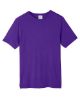 Picture of CE111 - Unisex Fusion ChromaSoft™ Performance T-Shirt