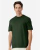 Picture of 3000 - Unisex Light Cotton T-Shirt