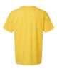 Picture of 64000CVC - Unisex Softstyle® CVC T-Shirt